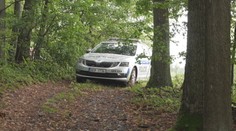 Při houbaření se ztratila seniorka. Telefon u sebe neměla, hledala ji i policie
