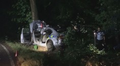 VIDEO: Po dramatické honičce skončilo policejní auto ve stromě
