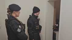 Cizinecká policie rozdávala pokuty. Proběhly velké kontroly zahraničních pracovníků