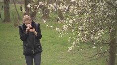 Vzduch už je plný pylu. Alergikům nastávají těžké časy