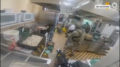 Rodinný gang si pěstováním marihuany vydělal miliony. Hrozí jim až 12 let vězení