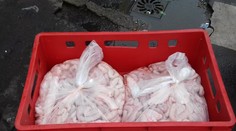 Zásah v pražské tržnici: 210 kilo zkažených vepřových vnitřností!