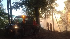 Požár v Českém Švýcarsku je pod kontrolou. Hasiči s ním bojovali celou noc