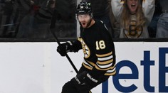 Zacha rozhodl o výhře Bostonu, trefil se i Zohorna. Dostál zářil