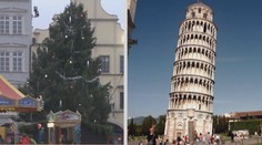 Budějovice mají unikátní strom, je křivý jako šikmá věž v Pise