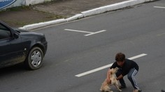 MALÝ HRDINA: Riskoval život mezi auty, aby zachránil zraněného psa