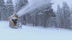 STŘEPINY: Čeká nás letos bílá zima?