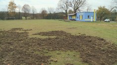 VIDEO: Ohrožené fotbalové zápasy kvůli přemnoženým divočákům