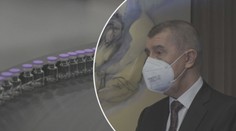 Babiš byl na návštěvě Rakouska, řešil přerozdělování vakcín v EU