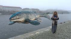 Pravěcí mosasauři nelovili jen v oceánech, ale i v řekách, zjistili vědci