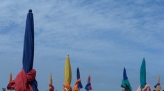 Strach turistů na dovolené ve Francii. Tamní pláže zamořila toxická řasa