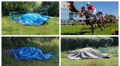 Děsivé dostihy ve Slušovicích: Tři koně utratili, těla odklidí až v pondělí!