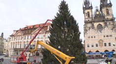Vánoční strom už stojí v centru Prahy, zdobit ho bude deset lidí