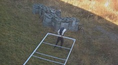 Policie v Ostravě dopadla muže, který má mít na svědomí 20 krádeží. Vybíral si průmyslové areály