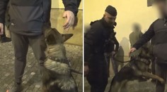 Cizinec se snažil schovat extázi v okapu, policisty ale neoblafnul