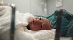 Unikátní průzkum: Kvůli jódu se v Česku rodí méně inteligentní děti