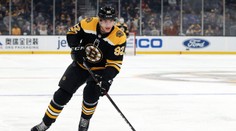 Kristian Reichel dal první gól v NHL, střelecky se prosadil také Tomáš Nosek