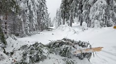Na horách jde o život! Vstup do některých lesů už úplně zakázali