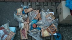 Inspekce našla v autě ryby bez vody a další zboží. Přepravci hrozí pokuta až 50 milionů