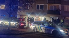 Hubení škůdců na Pardubicku se zvrtlo. Hasiči museli evakuovat desítky osob