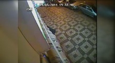 Zloděj ukradl v restauraci směnku! Poznáváte pachatele?