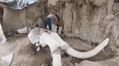 V Mexiku našli více jak 15 000 let staré pozůstatky mamutů