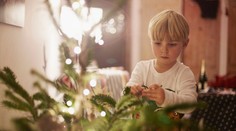 Průzkum: Řadu Čechů čekají chudší Vánoce. Mnozí plánují ušetřit na všem