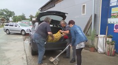 Brambory koupíte i za tři koruny! Rady, kde je seženete nejlevněji