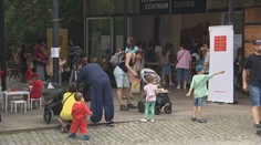 Den pěstounů v pražské zoo. Město připravilo speciální akci