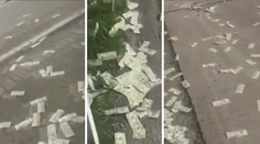 Obrněný vůz posypal dálnici penězi, vypuklo šílenství! VIDEO