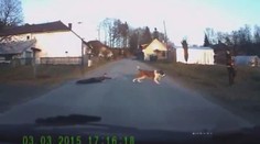 Češi zase dobyli internet. Toto video je HITEM !