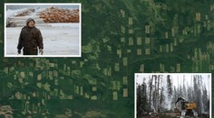 Šokující fotky z vesmíru! Ruská tajga mizí. Prodali ji Číňanům