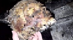Mladík vlezl do hrobu a natočil si video s mrtvolou. Už ho má policie