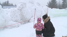 Tradiční výstava ledových soch proběhne, musí ale být pod širým nebem