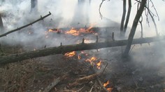 Lesy jsou kvůli vedru jako troud. Hasiči varují před požáry