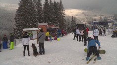 Vlekaři si zoufají. Znovuotevření je v nedohlednu a bojí se o bezpečnost