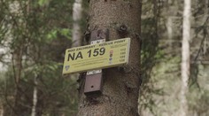 Znáte tyto značky? Nachází se po celém Česku, mohou vám zachránit život