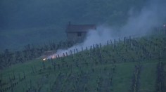 VIDEO: Francouzské víno v ohrožení! Za vším je prudké ochlazení