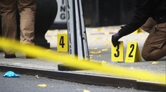 Celníci rozbili gang obchodníků s anaboliky. Při razii jich našli několik tun