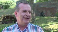 Rektor Zima rozjímal u goril. A prozradil svůj lék na kocovinu