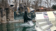 Pražské zoo odkázala miliony i nemovitosti. Kdo byla tajemná dárkyně?