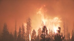 Ničivé požáry trýzní Kalifornii. Sežehly přes 800 tisíc hektarů půdy