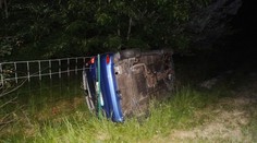 Kvůli dvěma psům se na dálnici zranil motorkář a převrátilo auto