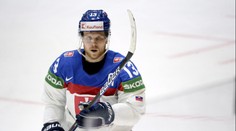 Pomátli se. Na Slováky se snáší kritika. Do KHL prý míří další hráč