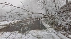 Ledovka zasáhla Česko. Mrazy lámaly stromy, na Vysočině se stalo 20 dopravních nehod