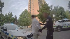 Strážníci chytili skupinku s košem plným piv. Mezi zadrženými byl hledaný muž