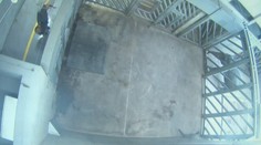 Jak v zoo přesvědčí slona, aby se zvážil? VIDEO