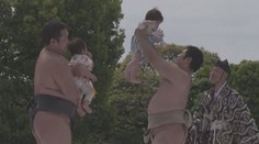 VIDEO: Japonské sumo pro malé děti. Vyhrává ten, kdo se rozpláče dřív