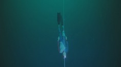 Freediver pokořil na Bahamách posedmé rekord. Potopil se do hloubky 120 metrů