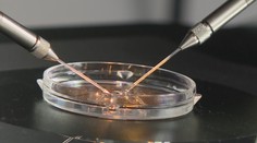 Průlom v genetice: Děti, které se narodily s geny tří lidí, nemají dědičnou nemoc